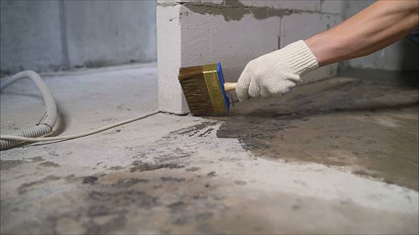 24/7 Emergency Crawl Space Encapsulation experts in Livingston, NJ